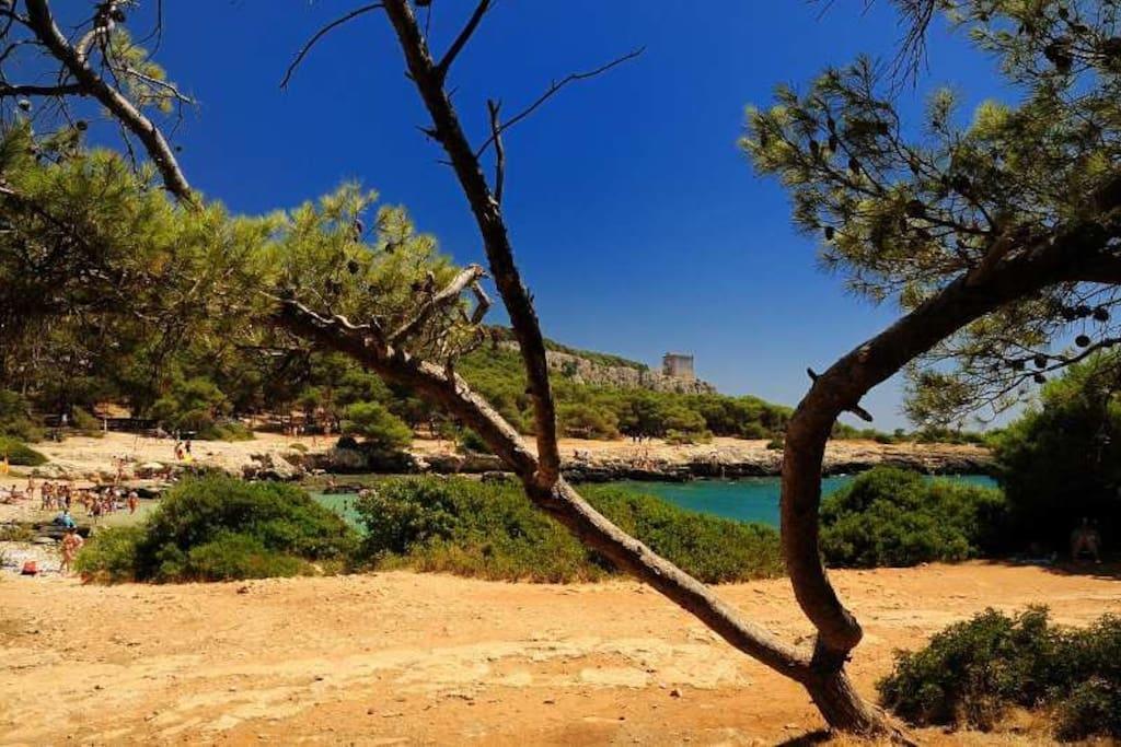 Cottage A 5 Minuti Dal Mare Nardò Exteriér fotografie